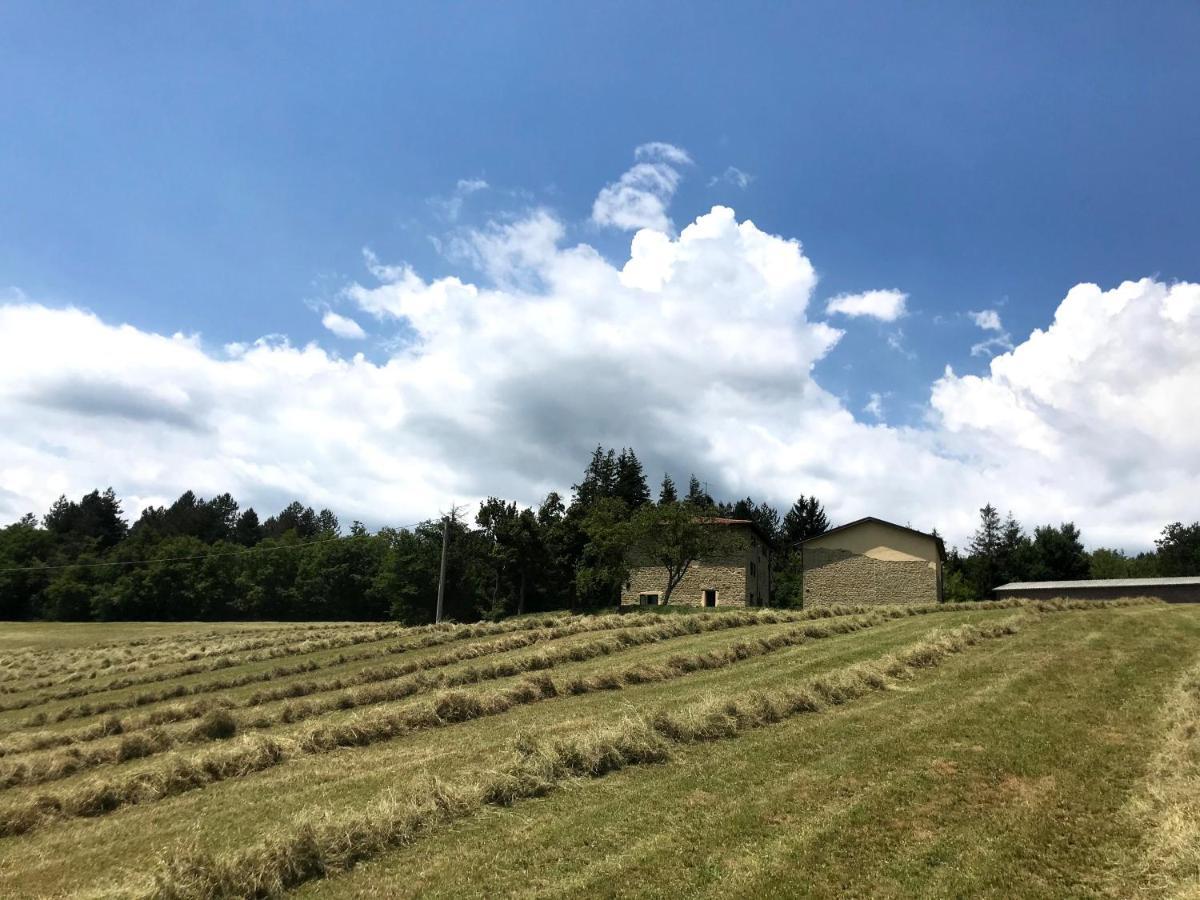 Agriturismo Il Casone San Benedetto Val di Sambro Exteriér fotografie