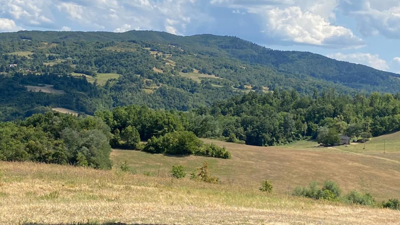 Agriturismo Il Casone San Benedetto Val di Sambro Exteriér fotografie